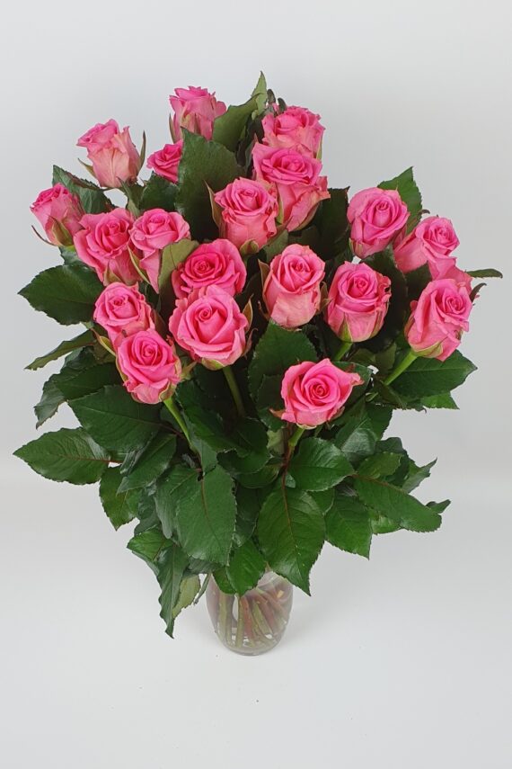 Bukiet 20 różowych róż
