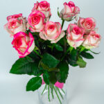 10 jumilia różowe róże