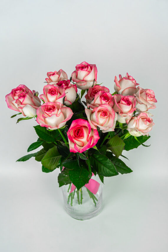 15 jumilia różowe róże
