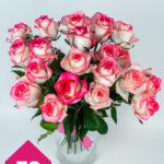 50 jumilia różowe róże