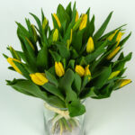 Tulipany żółte