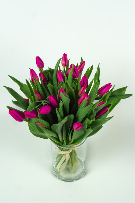 Tulipany fioletowe